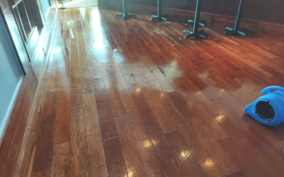 5 Common Hardwood Flooring Problems and How to Prevent Them
