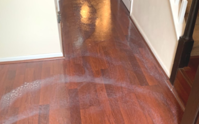 Does Bleach Damage Wood Floors? Alternative Cleaning Solutions and the Importance of Professional Expertise