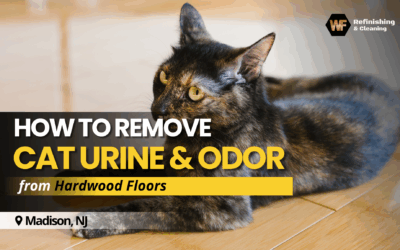 How to Remove Cat Urine & Odor from Hardwood Floors