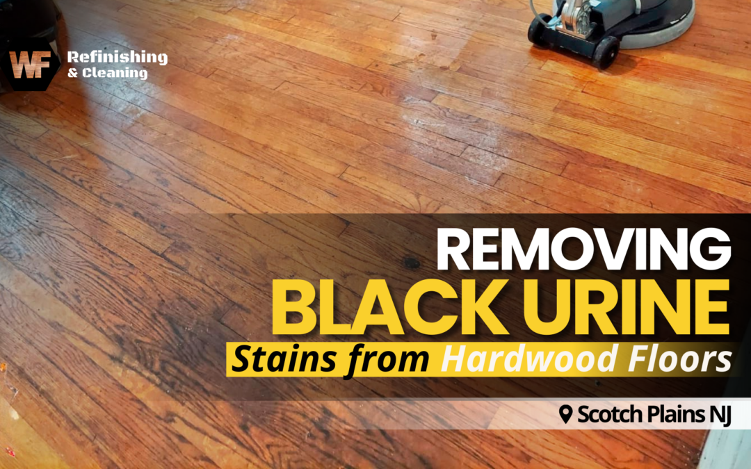 Removing Black Urine Stains from Hardwood Floors